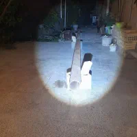 فروش یک شاخه لوله مانیسمان