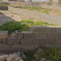 زمین 157متری در کرونی  نزدیک به بلوار اصلی کرونی|فروش زمین و ملک کلنگی|شیراز, کرونی(خاتونک)|دیوار