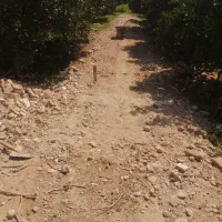 نخاله ساختمانی و تخریب