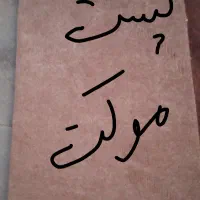 فرش|موکت|بوشهر, |دیوار