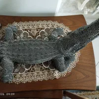 مجسمه  دکوری تمام سنگ براق کوزه رزین