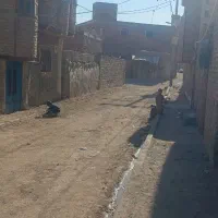 زمین چهار دیوار پیربخش 20 کنار داروخانه|فروش زمین و ملک کلنگی|زاهدان, |دیوار