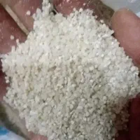 خرده ریز اشی