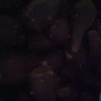 میوه‌کاکتوس