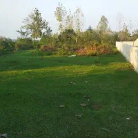 معاوضه زمین جاده ماسوله با خونه