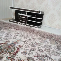 زیرتلوزیون