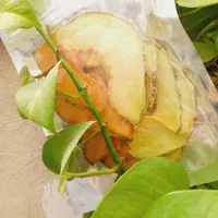 میوه خشک و سبزی خشک با کیفیت /فروش عمده و جزئی|خوردنی و آشامیدنی|مشهد, طرق|دیوار