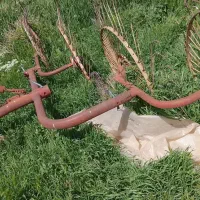 ریگ یونجه