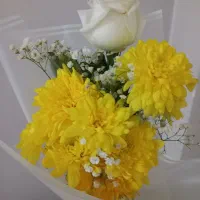 هدیه آخر سال