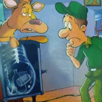 فیزیک دوازدهم تجربی نشرالگو  کتاب