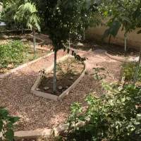 کردان-شنده-گلستان-350مترباغ-چهاردیواری