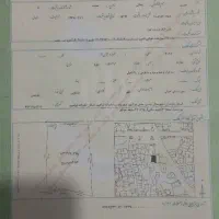 ملک-کلنگی-در-بابلسر