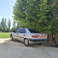 زانتیا درحد تمیز و مرطب