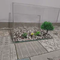 آکواریوم ماهی