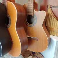 گیتار پارسی m2 m5 m4 p40 با کیف و پیک و دفتر نت|گیتار، بیس، امپلیفایر|تهران, بهارستان|دیوار