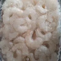 میگو جنگل سره متوسط