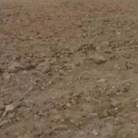 زمین-360متر-در-جاده-باغرود-کوچه-باغستان