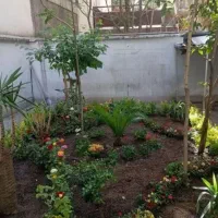 خدمات باغبانی باغچه کاری گل کاری تعویض خاک گلدون|خدمات باغبانی و درختکاری|تهران, صادقیه|دیوار