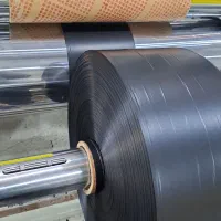 کیسه زباله رولی|ظروف نگهدارنده، پلاستیکی، یک‌بارمصرف|کردیان, |دیوار