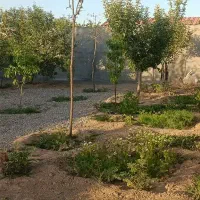 فروش باغ ویلادر مقصود آباد رسالت کشمیری|فروش خانه و ویلا|مشهد, مقصود آباد|دیوار
