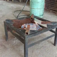 گاز،سرپیکنیک