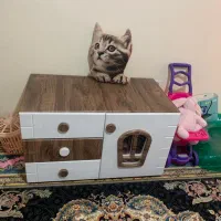 سرویس خواب کودک و نوجوان|تخت و سرویس خواب|تهران, آشتیانی|دیوار