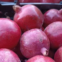 انار ربی و آبگیری و بصورت یکجا  فقط  32   تومن