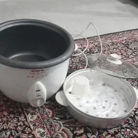 پلوپز بخار پر  ارام پز