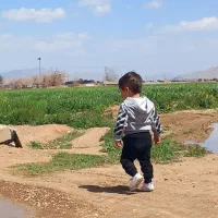 زمین-کشاورزی-با-3-ساعت-آب-چاه