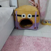 لوازم پت|لوازم جانبی حیوانات|دلیجان, |دیوار