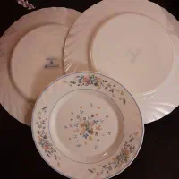 ظروف ارکوپال ویکتوریا