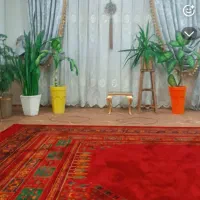 پرده زیبای کامل