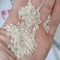 برنج پاکستانی درجه یک