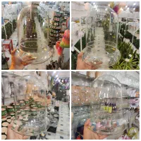 شیشه دو تیکه تراریوم باکس گل بنسای شفلرا شامادورا