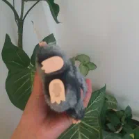 لبوبو|اسباببازی|قروه, |دیوار