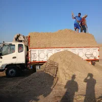 فروشی|حیوانات مزرعه|زارچ, |دیوار