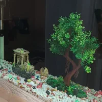 اکواریوم مناسب آپارتمان سالم و تمیز