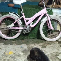دوچرخه پسرانی ودوخترانه