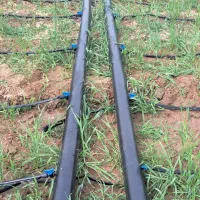 قطره ای باغ ولوله کشی زمین کشاورزی|خدمات باغبانی و درختکاری|اندیمشک, |دیوار