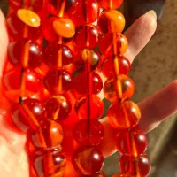 تسی کهنه بوی،شدید درشت ۳ تا|بدلیجات|کرج, باغستان|دیوار