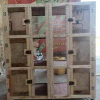 قفس جفت کن، جفتی کبوتر