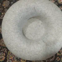 خونه ای  گربه
