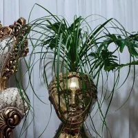 گلهای زیبا کلکسیونی