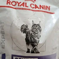 غذای  گربه Royal Canin Veterinary Dental 1.5kg