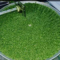 آقای سبزی اولین مغازه سبزیجات آماده مهرگان فازدو