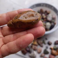 سنگ‌|جواهرات|کامیاران, |دیوار