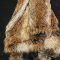 پالتو خز خارجی