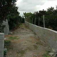 زمین باغی دارای درختان پر بار پرتقال