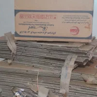 کارتن دانه ای خیاری