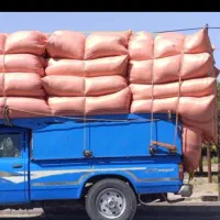 یونجه‌ سبز بهبهان